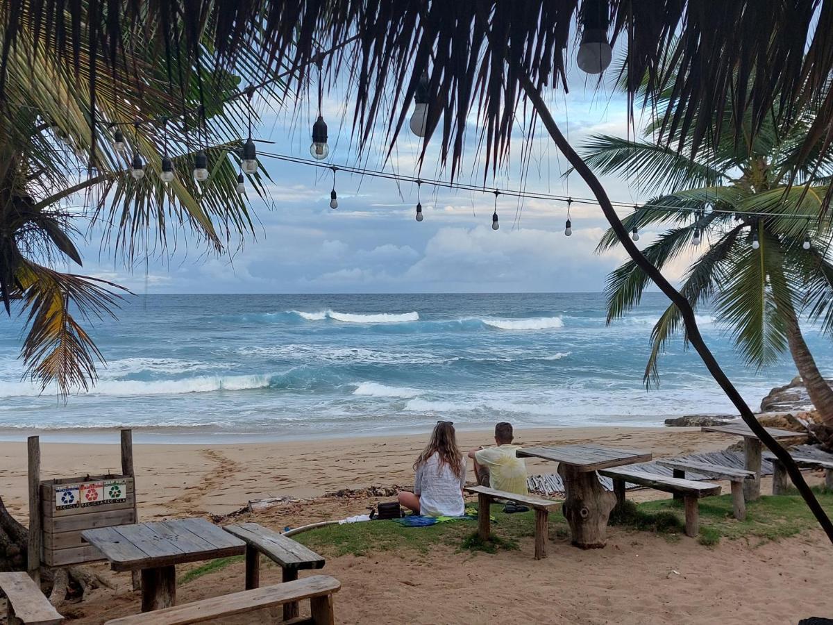 Cabarete Maravilla Eco Lodge Boutique Beach Surf Encuentro, Kite, By Aa Crypto Group Екстериор снимка