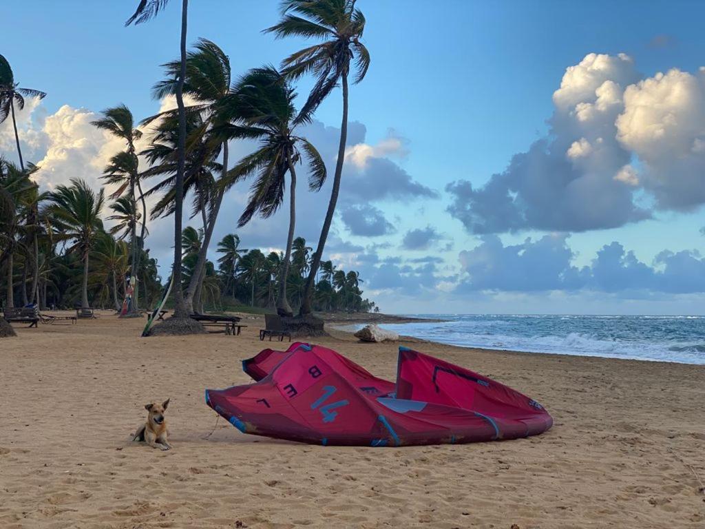 Cabarete Maravilla Eco Lodge Boutique Beach Surf Encuentro, Kite, By Aa Crypto Group Екстериор снимка