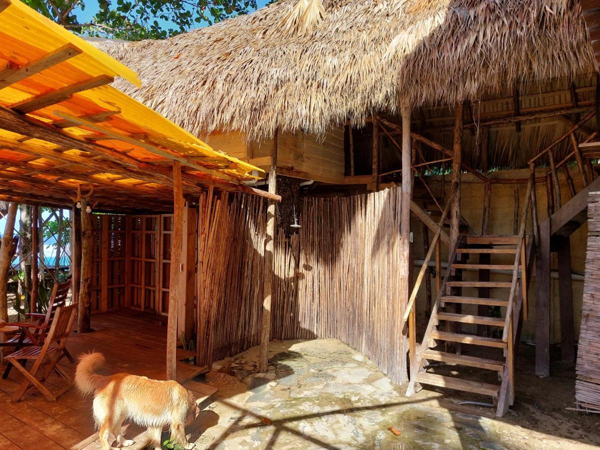 Cabarete Maravilla Eco Lodge Boutique Beach Surf Encuentro, Kite, By Aa Crypto Group Екстериор снимка