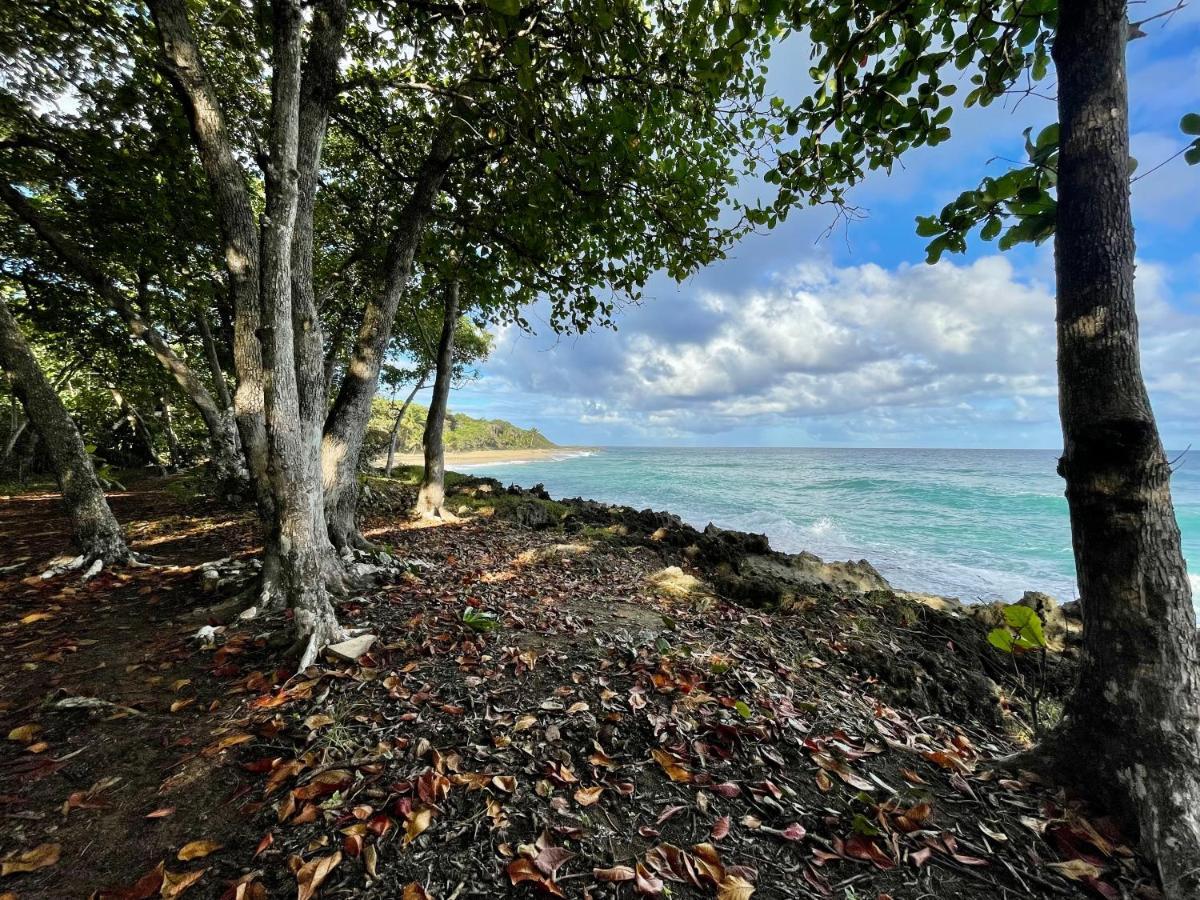 Cabarete Maravilla Eco Lodge Boutique Beach Surf Encuentro, Kite, By Aa Crypto Group Екстериор снимка