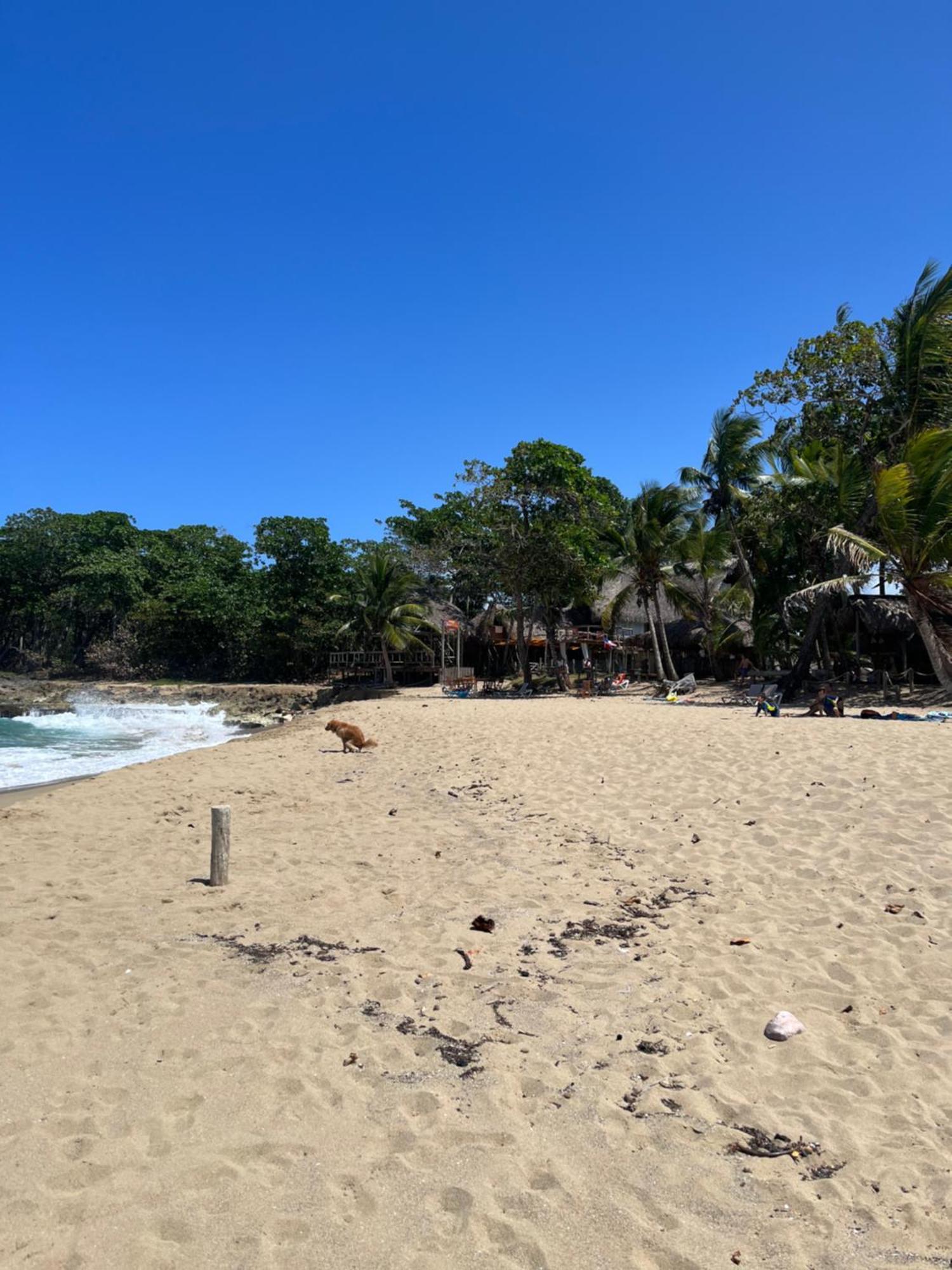 Cabarete Maravilla Eco Lodge Boutique Beach Surf Encuentro, Kite, By Aa Crypto Group Екстериор снимка