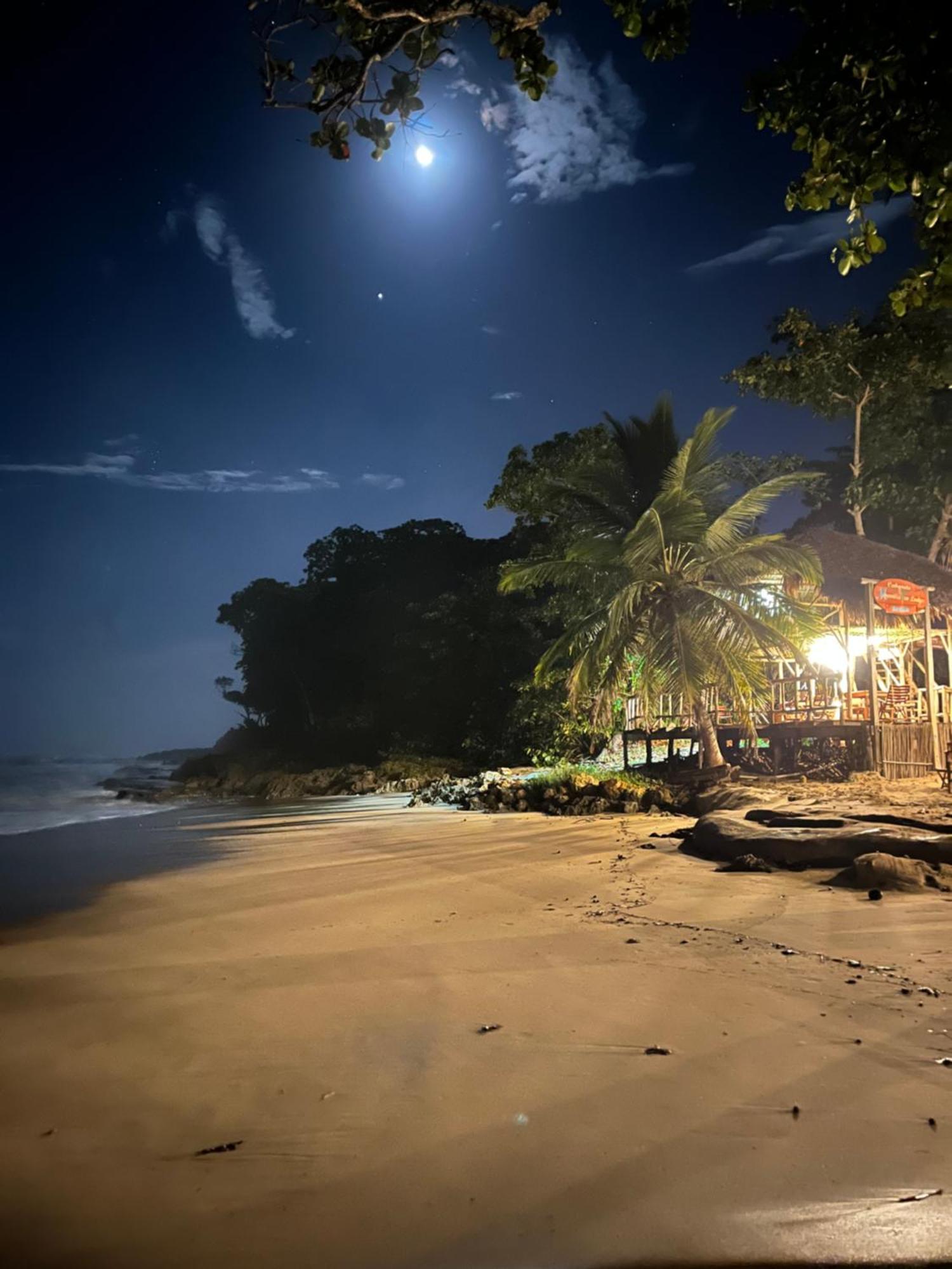 Cabarete Maravilla Eco Lodge Boutique Beach Surf Encuentro, Kite, By Aa Crypto Group Екстериор снимка