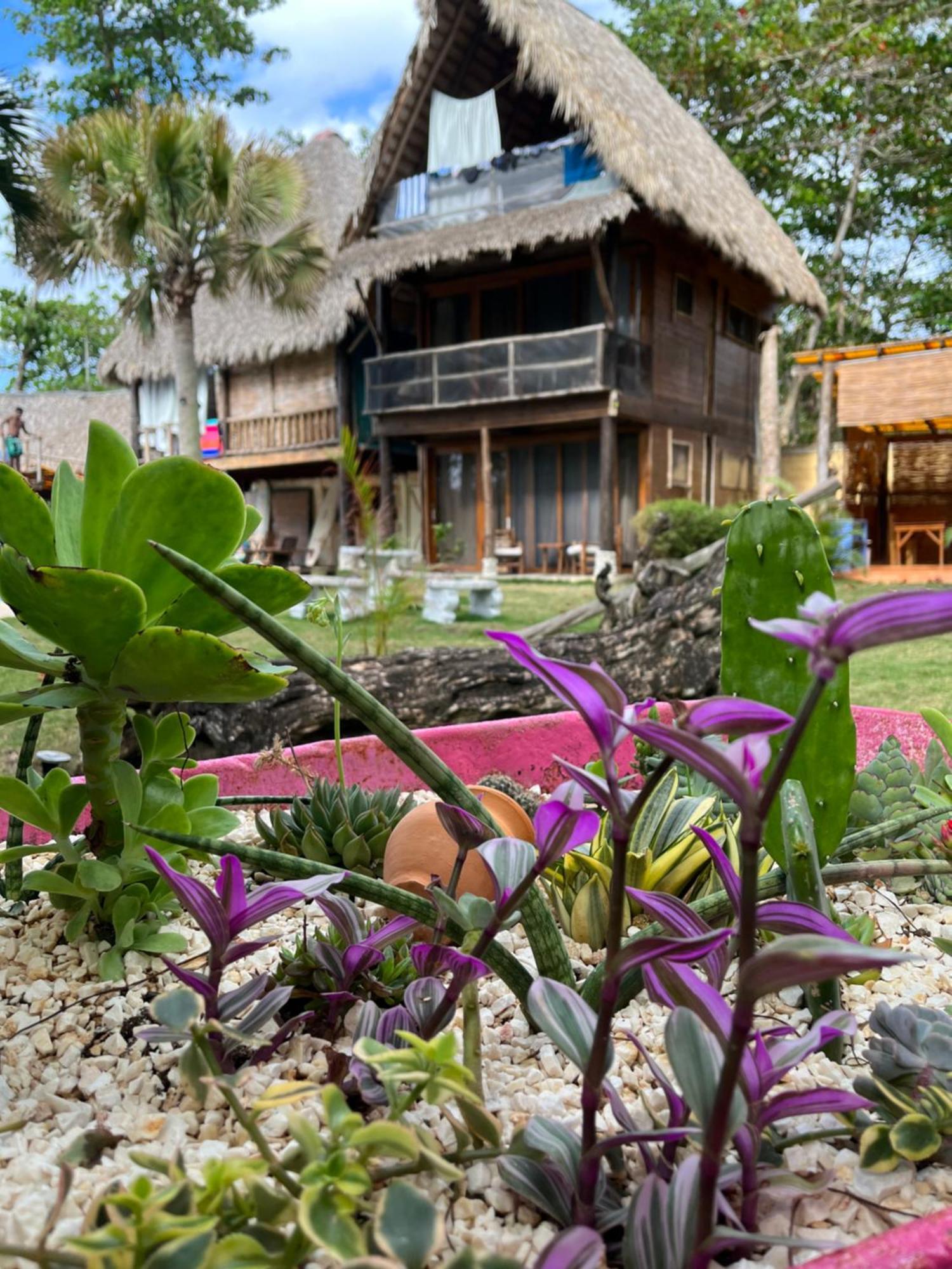 Cabarete Maravilla Eco Lodge Boutique Beach Surf Encuentro, Kite, By Aa Crypto Group Екстериор снимка